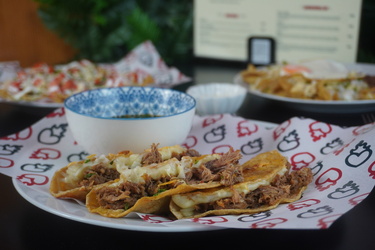 foto taco birria